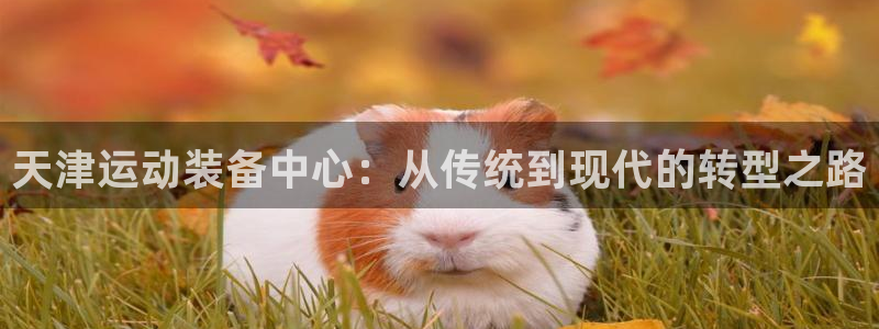 意昂体育4招商电话地址:天津运动装备中心:从传统到现代的转型