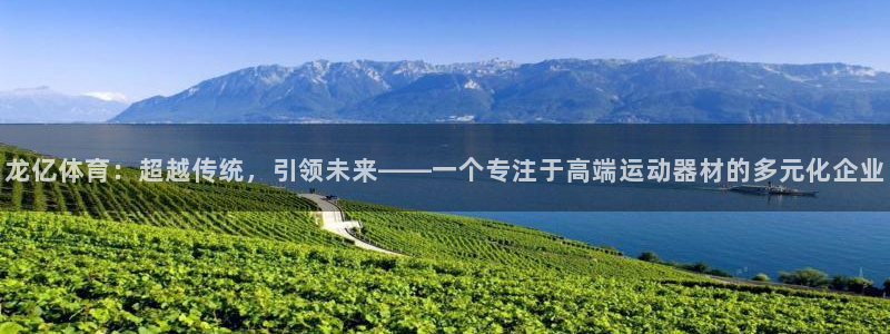 意昂体育4平台注册要钱吗:龙亿体育:超越传统,引领未来——一