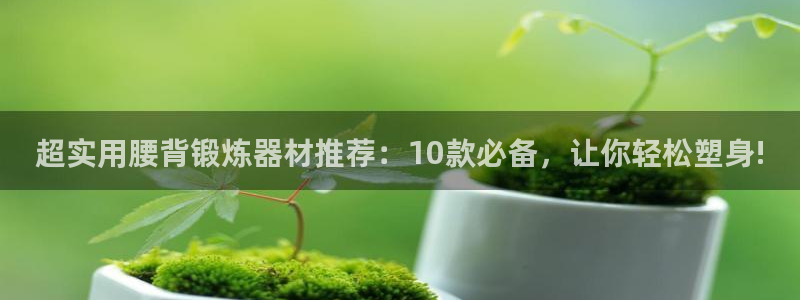 意昂4娱乐代理怎么样:超实用腰背锻炼器材推荐:10款必备,让