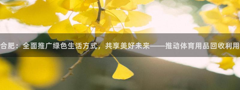 意昂平台体育:合肥:全面推广绿色生活方式,共享美好未来——推